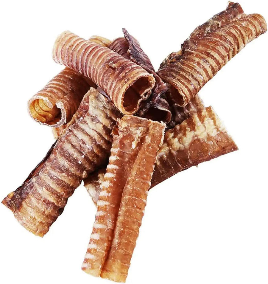 6" Whole Beef Trachea Chews for Small & Medium Dogs | Trachea Chews at HotSpot Pets