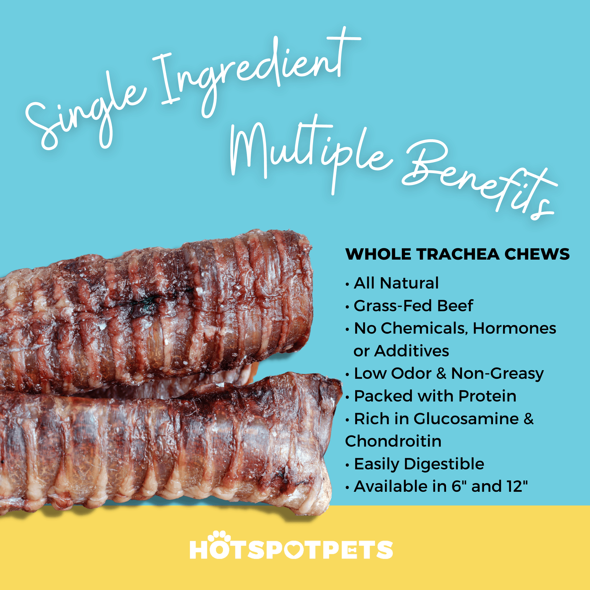 6" Whole Beef Trachea Chews for Small & Medium Dogs | Trachea Chews at HotSpot Pets