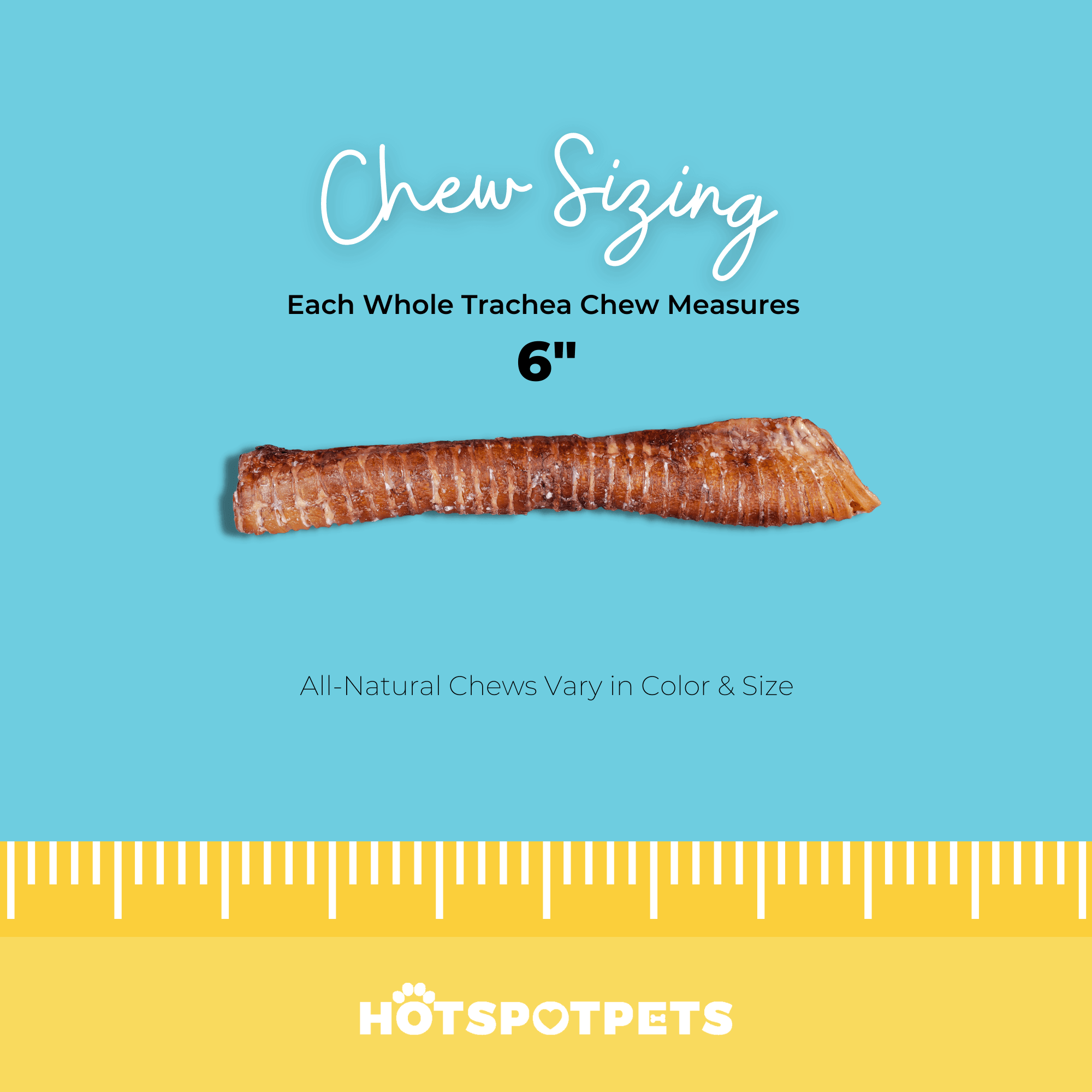 6" Whole Beef Trachea Chews for Small & Medium Dogs | Trachea Chews at HotSpot Pets