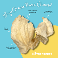 All-Natural Cow Ear Chews for Dogs | Ears at HotSpot Pets