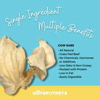 All-Natural Cow Ear Chews for Dogs | Ears at HotSpot Pets