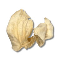 All-Natural Cow Ear Chews for Dogs | Ears at HotSpot Pets