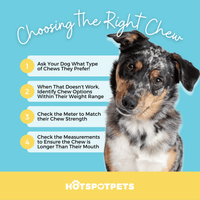 All-Natural Cow Ear Chews for Dogs | Ears at HotSpot Pets