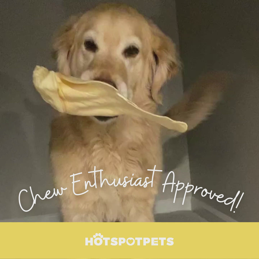 All-Natural Cow Ear Chews for Dogs