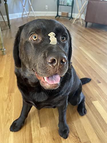 Freeze Dried Beef Liver Treats for Dogs | Freeze Dried Treats at HotSpot Pets