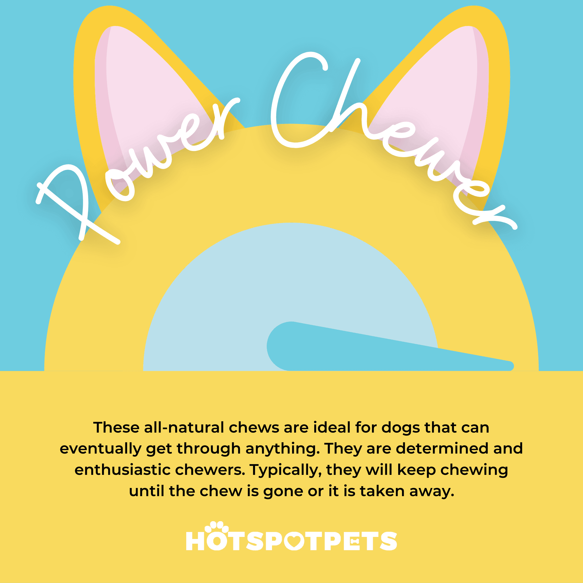 Himalayan Yak Chews for Medium Dogs | Yak Chews at HotSpot Pets