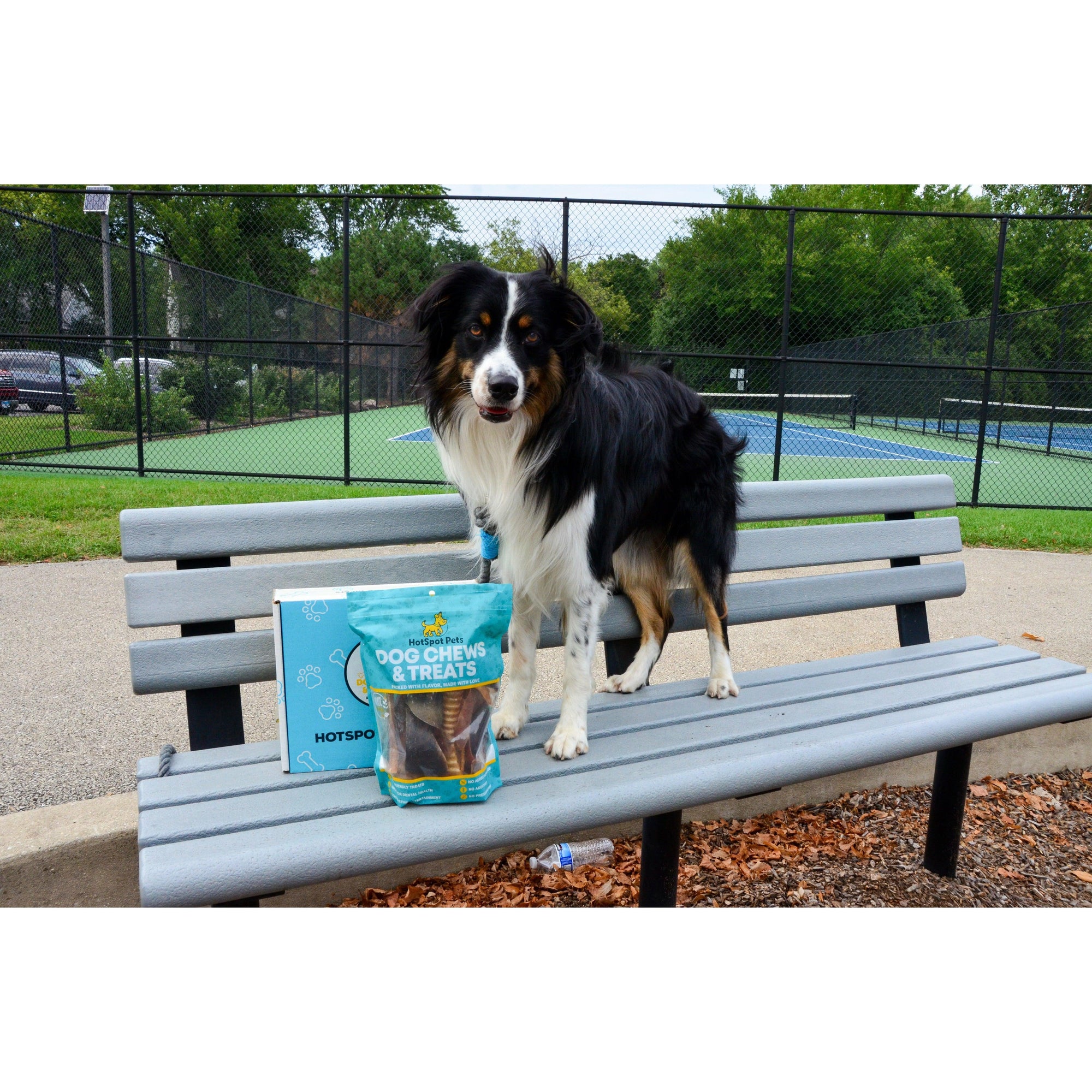 Hotspot Pets Subscription Box for Large & Extra Large Dogs | Subscription Boxes at HotSpot Pets