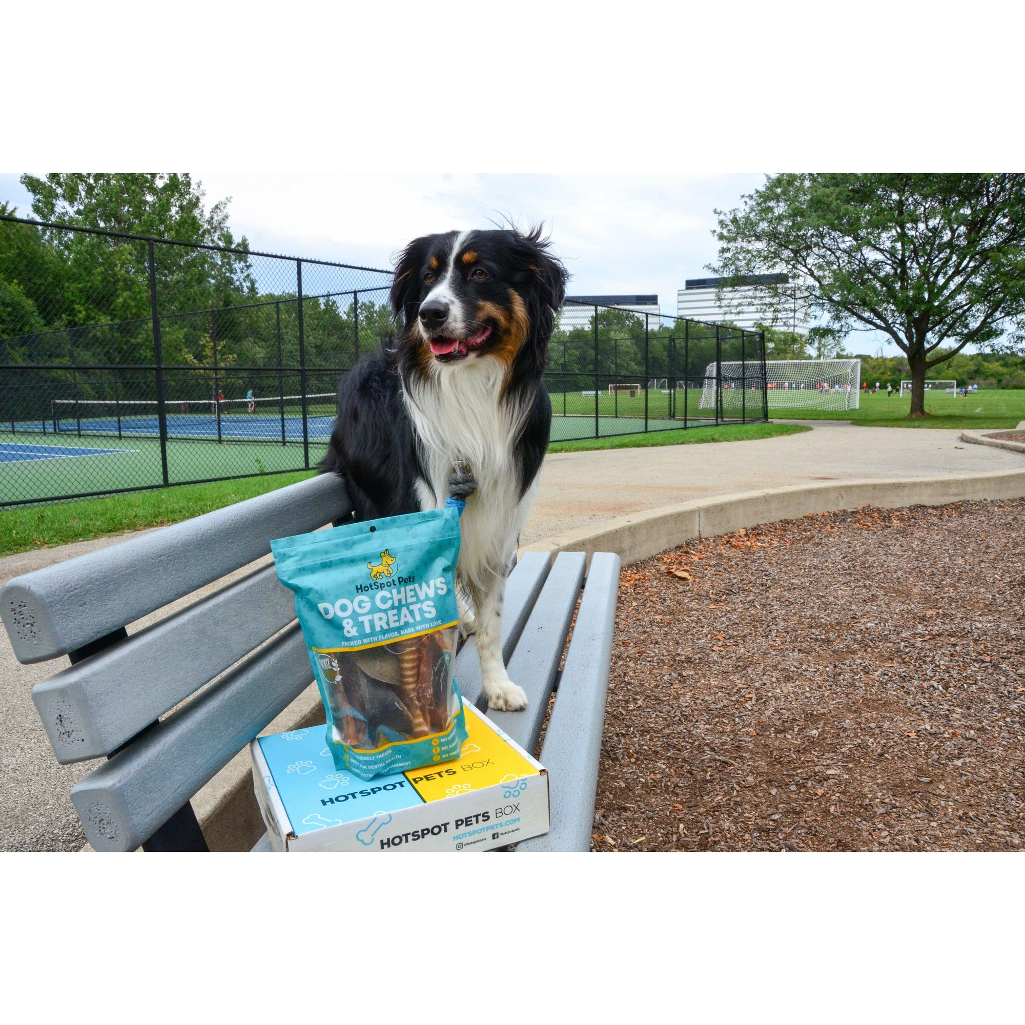 Hotspot Pets Subscription Box for Large &amp; Extra Large Dogs | Subscription Boxes at HotSpot Pets