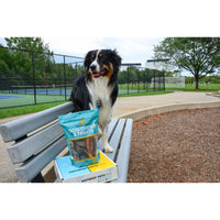 Hotspot Pets Subscription Box for Large & Extra Large Dogs | Subscription Boxes at HotSpot Pets