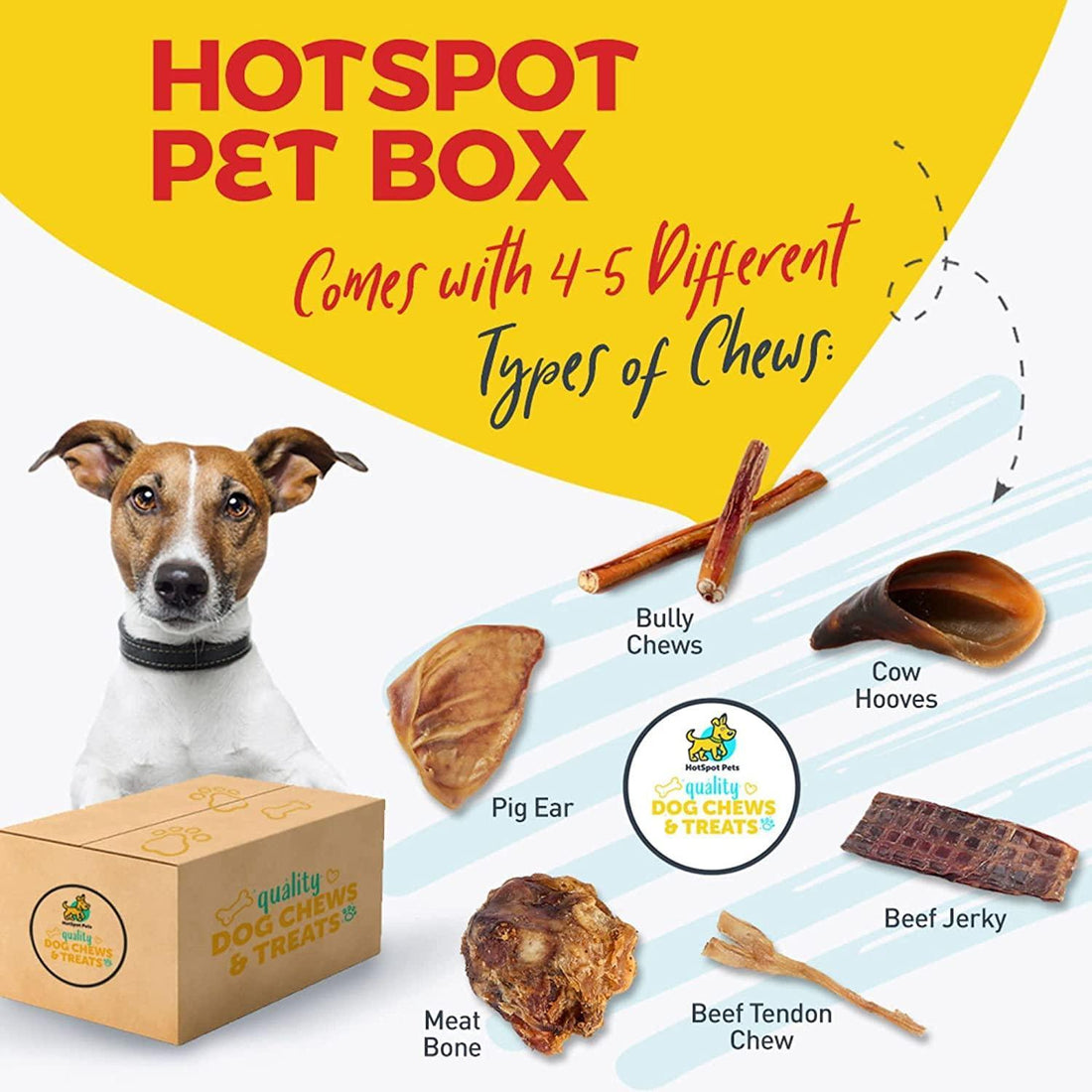 Hotspot Pets Subscription Box for Small & Medium Dogs | Subscription Boxes at HotSpot Pets