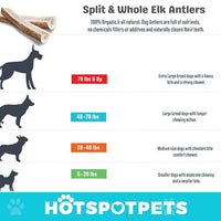 Split Elk Antlers for for Extra Large Dogs | Elk Antlers at HotSpot Pets