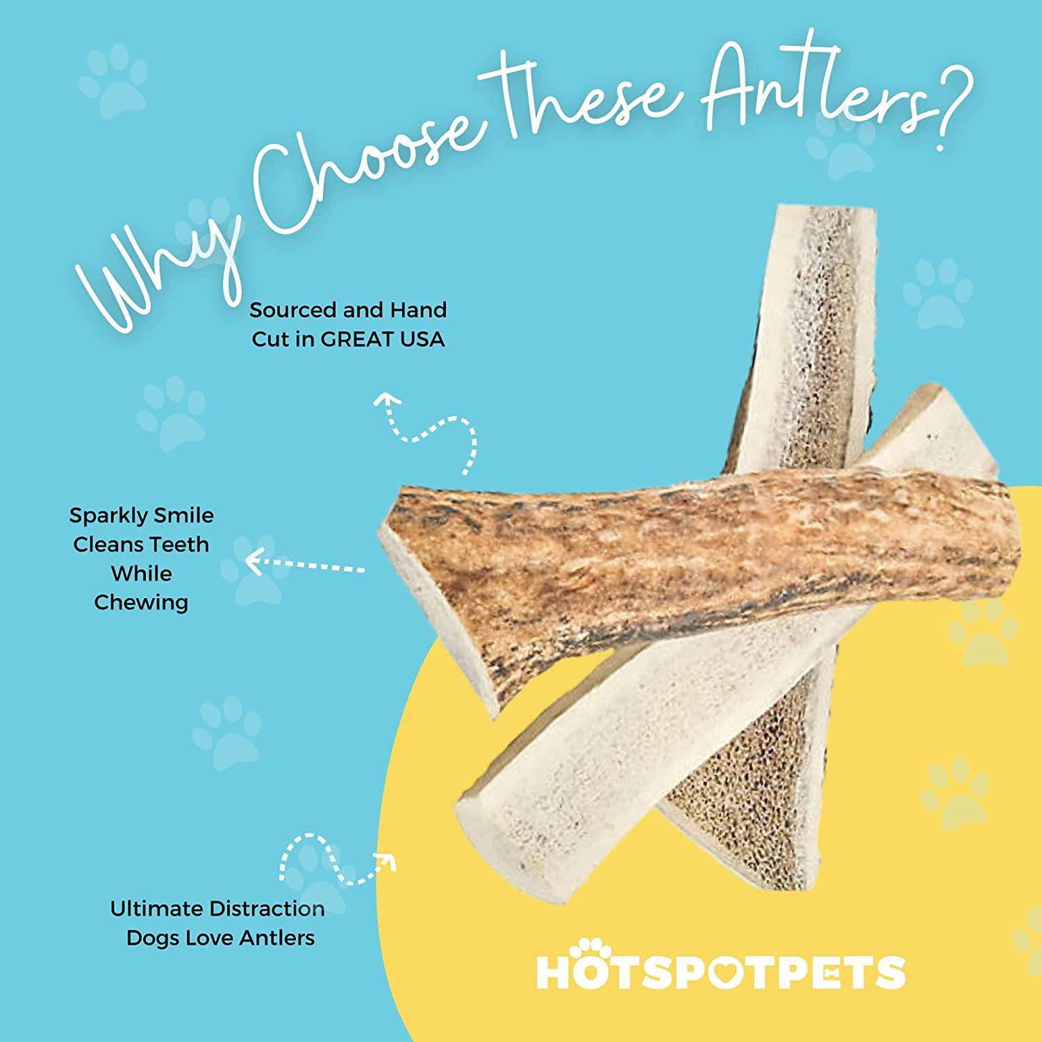 Split Elk Antlers for Medium Dogs | Elk Antlers at HotSpot Pets
