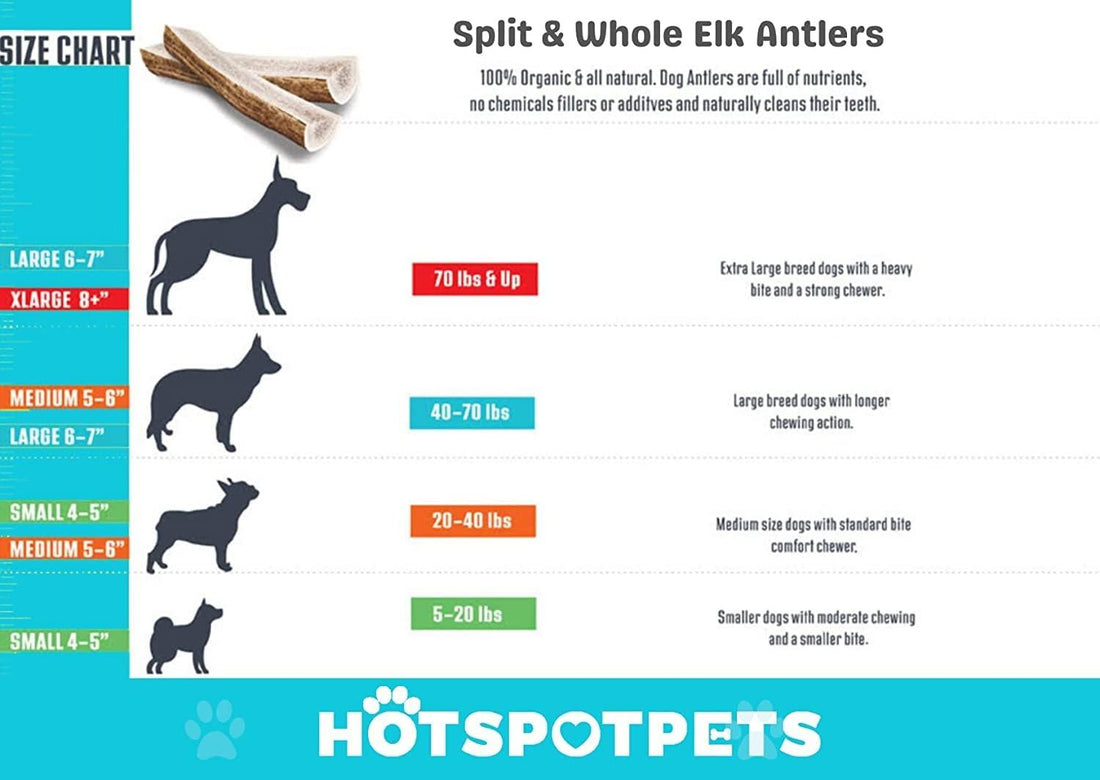 Split Elk Antlers for Medium Dogs | Elk Antlers at HotSpot Pets