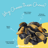 Whole Cow Hooves for Small, Medium & Large Dogs | Cow Hooves at HotSpot Pets